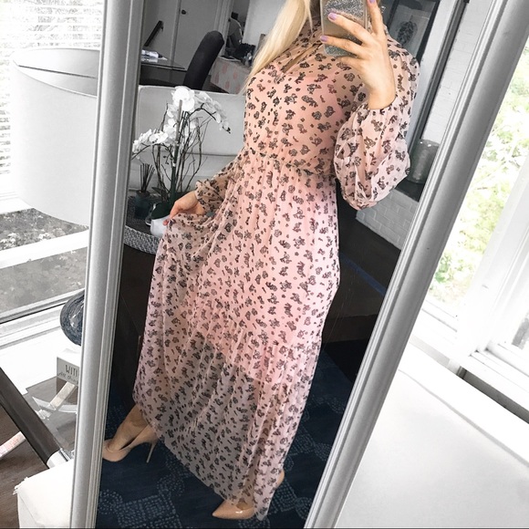 🆕BLUSH FLORAL FISHNET HIGH NECK LONG SLEEVE DRESS - Picture 3 of 11